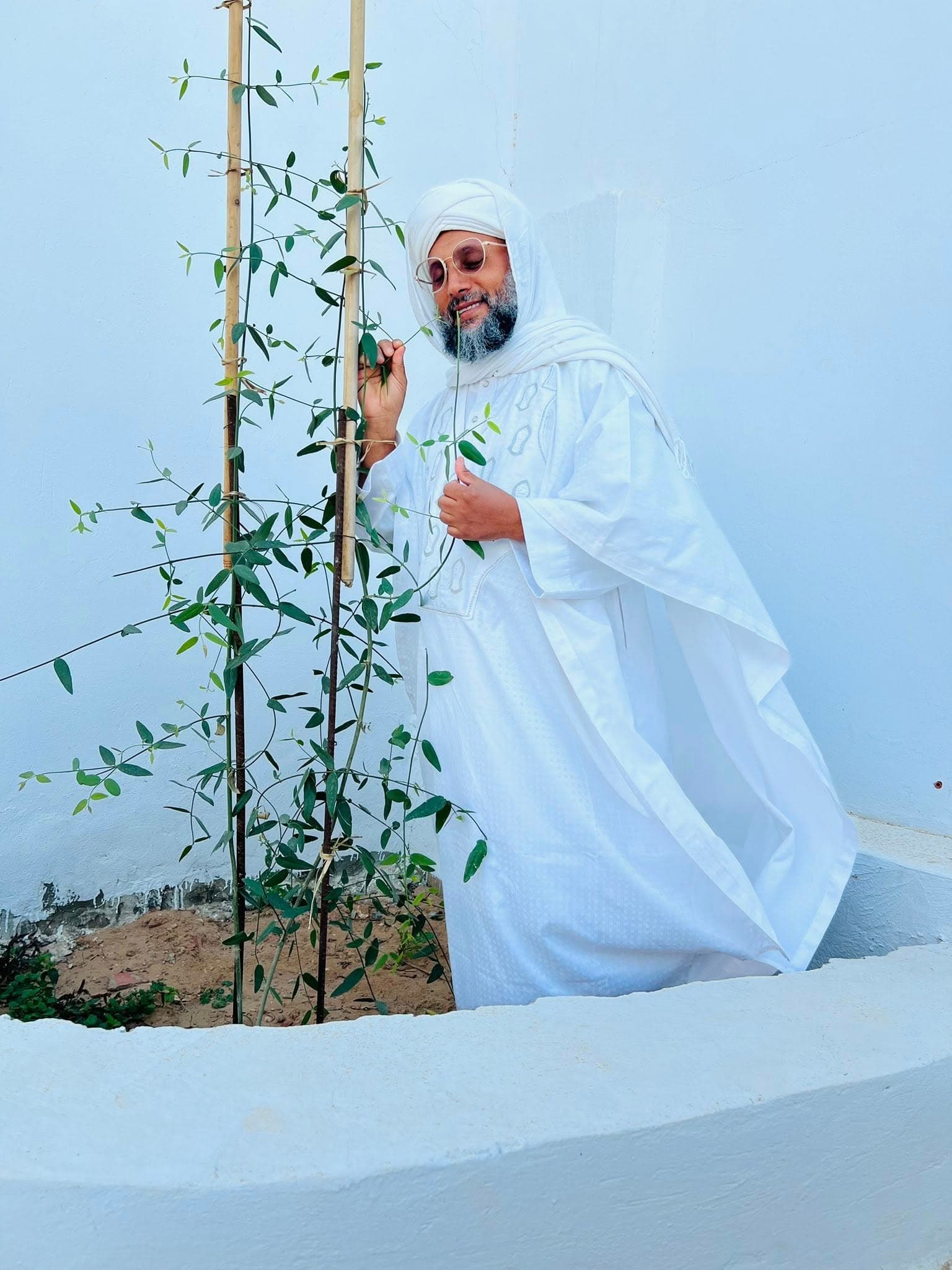 سيدي أحمد الهادي